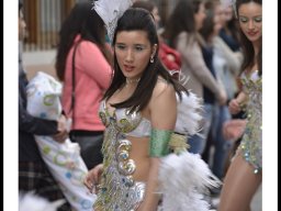 Carnaval de Mula 2014